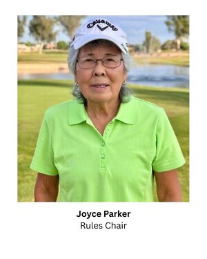 Parker, Joyce_Rules Chair